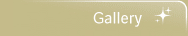 Gallery Gallery